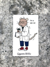 Load image into Gallery viewer, Stickers (Pack of 4)