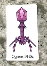 Load image into Gallery viewer, Stickers (Pack of 4)